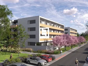 Prodej bytu 3+kk, Olomouc, Loudova, 80 m2