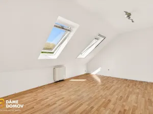 Prodej rodinného domu, Hodonín, Pančava, 169 m2