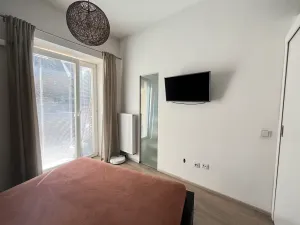 Pronájem bytu 3+kk, Opava, Na Rybníčku, 86 m2