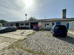 Prodej skladu, Netolice, 30000 m2