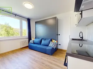 Pronájem bytu 1+kk, Ústí nad Labem - Střekov, Tolstého, 20 m2