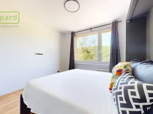 Pronájem bytu 1+kk, Ústí nad Labem - Střekov, Tolstého, 20 m2