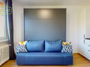 Pronájem bytu 1+kk, Ústí nad Labem - Střekov, Tolstého, 20 m2