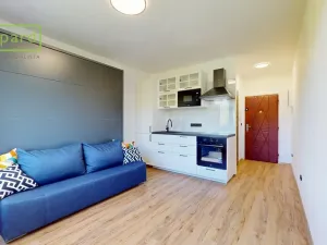 Pronájem bytu 1+kk, Ústí nad Labem - Střekov, Tolstého, 20 m2