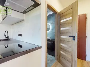 Pronájem bytu 1+kk, Ústí nad Labem - Střekov, Tolstého, 20 m2