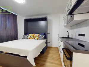 Pronájem bytu 1+kk, Ústí nad Labem - Střekov, Tolstého, 20 m2