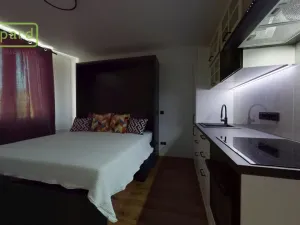 Pronájem bytu 1+kk, Ústí nad Labem - Střekov, Tolstého, 20 m2