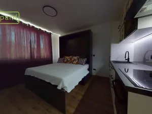 Pronájem bytu 1+kk, Ústí nad Labem - Střekov, Tolstého, 20 m2