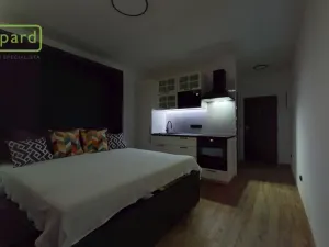 Pronájem bytu 1+kk, Ústí nad Labem - Střekov, Tolstého, 20 m2