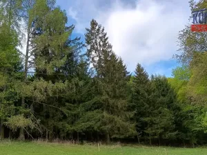 Prodej lesa, Velhartice - Nemilkov, 10112 m2