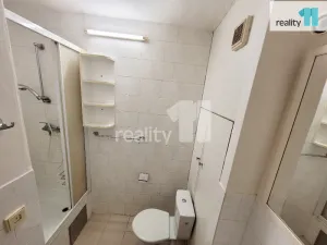 Pronájem bytu 1+1, Praha - Žižkov, Buková, 35 m2