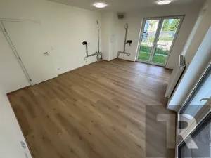 Pronájem bytu 1+kk, Dobřany, Denksteinova, 39 m2