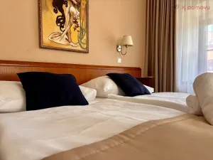 Pronájem apartmánu, Hranice - Hranice I-Město, Jiráskova, 1440 m2