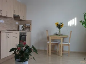 Pronájem bytu 1+kk, Praha - Uhříněves, Vlasty Průchové, 29 m2