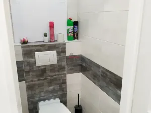 Pronájem bytu 2+kk, Ostrava, Lumírova, 53 m2