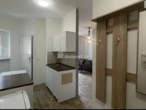 Pronájem bytu 2+kk, Ústí nad Labem, Palachova, 47 m2