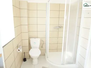 Pronájem bytu 1+1, Františkovy Lázně - Horní Lomany, Americká, 45 m2