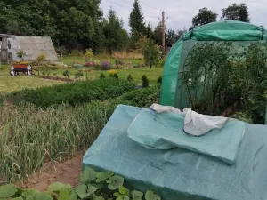 Prodej zahrady, Světlá Hora - Světlá, 350 m2