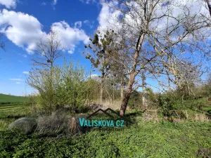 Prodej chaty, Kroměříž, Lutopecká, 60 m2