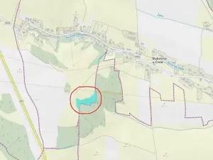 Prodej lesa, Bukovina u Čisté, 12070 m2