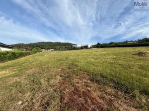 Prodej pozemku pro bydlení, Málkov - Zelená, 1010 m2
