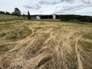Prodej pozemku pro bydlení, Málkov - Zelená, 1024 m2