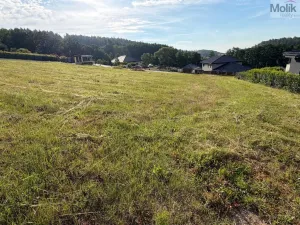 Prodej pozemku pro bydlení, Málkov - Zelená, 1024 m2