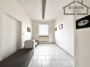 Pronájem kanceláře, Planá, Zámecká, 380 m2