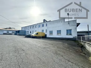 Pronájem kanceláře, Planá, Zámecká, 380 m2