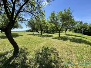Prodej pozemku pro bydlení, Bílé Poličany, 2980 m2