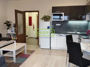 Pronájem bytu 1+kk, Brno - Žebětín, Lišejníková, 31 m2