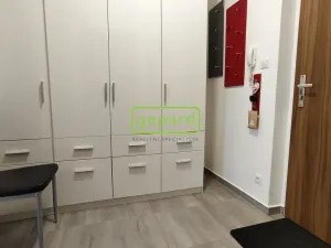 Pronájem bytu 1+kk, Brno - Žebětín, Lišejníková, 31 m2