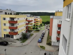 Pronájem bytu 1+kk, Brno - Žebětín, Lišejníková, 31 m2