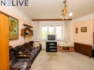 Prodej bytu 2+1, Plzeň, Čechova, 73 m2