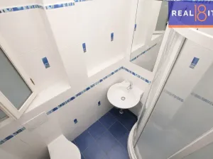 Prodej bytu 1+1, Praha, Jaselská, 55 m2