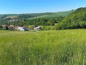 Prodej podílu louky, Buchlovice, 8138 m2