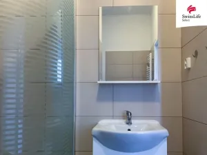 Prodej bytu 1+1, Plzeň, Plachého, 40 m2