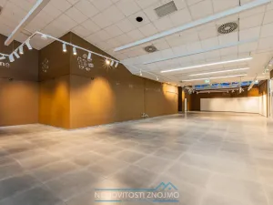 Pronájem obchodního prostoru, Chvalovice - Hatě, 274 m2