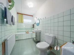 Prodej rodinného domu, Třebnouševes, 310 m2