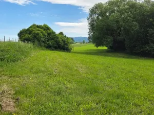 Prodej pozemku pro bydlení, Janovice, 1788 m2