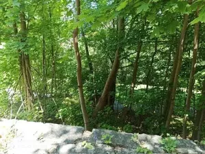 Prodej pozemku pro bydlení, Liberec, Rybářská, 104 m2