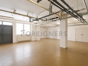 Pronájem skladu, Brno, Vinohradská, 153 m2