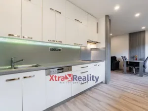 Pronájem bytu 2+kk, Teplice, Křížkovského, 52 m2