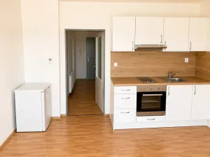 Pronájem bytu 1+kk, Brno, Vlhká, 33 m2