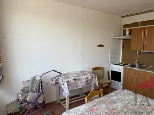Prodej bytu 1+1, Sušice - Sušice II, Hrádecká, 44 m2