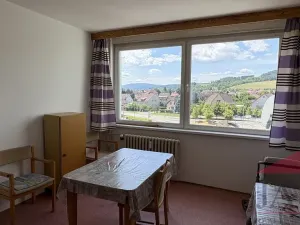 Prodej bytu 1+1, Sušice - Sušice II, Hrádecká, 44 m2