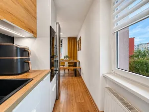 Prodej bytu 3+kk, Chomutov, Partyzánská, 60 m2