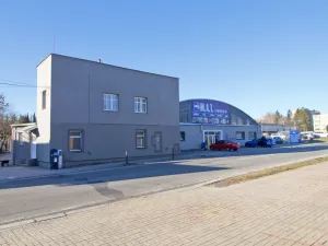 Pronájem bytu 1+1, Mariánské Lázně - Úšovice, Plzeňská, 33 m2