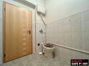 Prodej obchodního prostoru, Zruč-Senec, Plánská, 3159 m2
