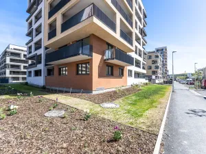 Prodej bytu 1+kk, Praha - Hloubětín, Poděbradská, 33 m2